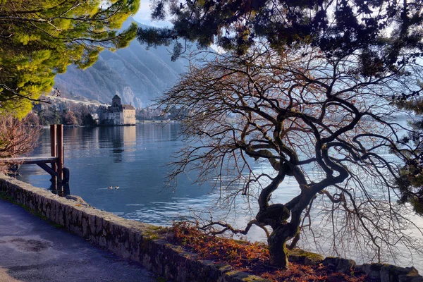 Panorama av staden på Geneva laken, Schweitz — Stockfoto