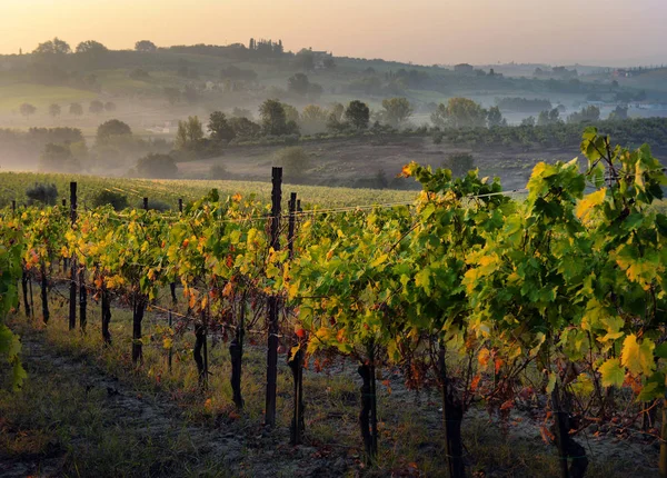 Paesaggio tipico della campagna toscana; tramonto su dolci colline — Foto Stock