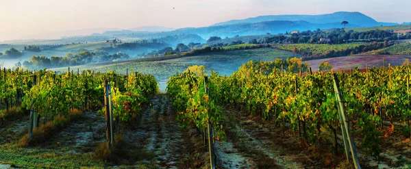 Typiskt Toscana landsbygdslandskap; Solnedgång över böljande kullar — Stockfoto