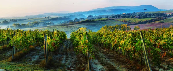 Paysage typique de la campagne toscane ; coucher de soleil sur les collines — Photo