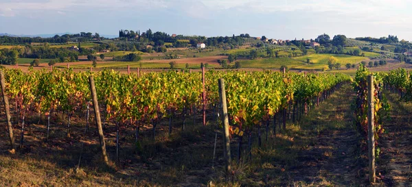 Paysage typique de la campagne toscane ; coucher de soleil sur les collines — Photo