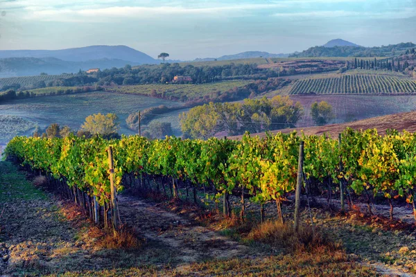 Typiskt Toscana landsbygdslandskap; Solnedgång över böljande kullar — Stockfoto