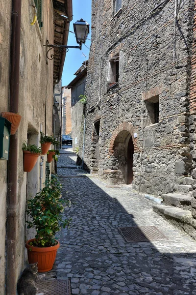 Italia, Anguillara Sabazia - 31 gennaio 2016: Anguillara è una sma — Foto Stock