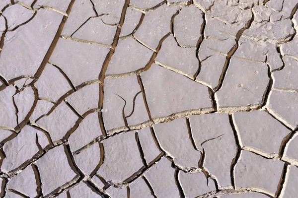 Cracked clay ground into the dry season — Stock Photo, Image