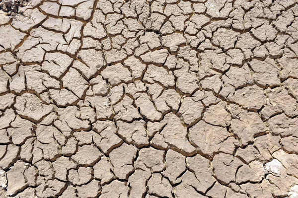 Cracked clay ground into the dry season — Stock Photo, Image