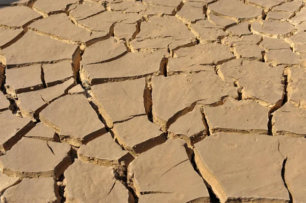 Cracked clay ground into the dry season — Stock Photo, Image