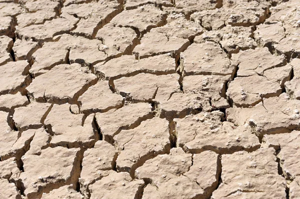 Cracked clay ground into the dry season — Stock Photo, Image