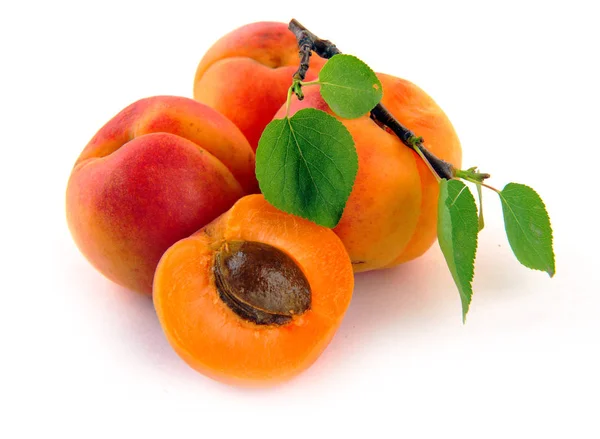 Aprikot matang dengan daun aprikot terisolasi pada latar belakang putih — Stok Foto