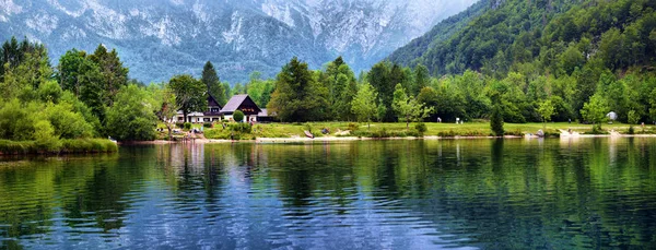 Panoramiczny widok na Jezioro Bohinj, największe stałe jezioro w SLO — Zdjęcie stockowe