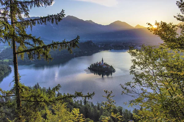 Aerial view of Lake Bled Alps Slovenia Europe. Mountain alpine l — Stock Photo, Image