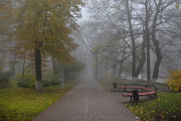 Jesienny krajobraz-mglisty Park jesienny aleja z gołymi drzewami i dr — Zdjęcie stockowe