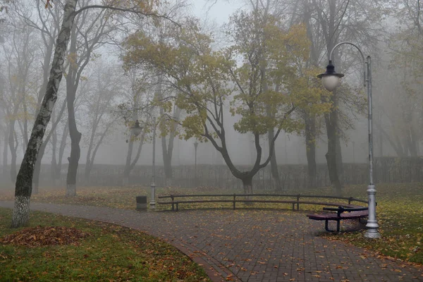 Jesienny krajobraz-mglisty Park jesienny aleja z gołymi drzewami i dr — Zdjęcie stockowe