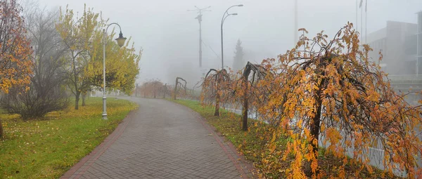 Осенний ландшафт - туманная аллея осеннего парка с голыми деревьями и доктором — стоковое фото