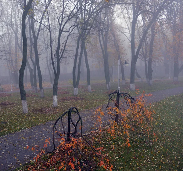 Jesienny krajobraz-mglisty Park jesienny aleja z gołymi drzewami i dr — Zdjęcie stockowe