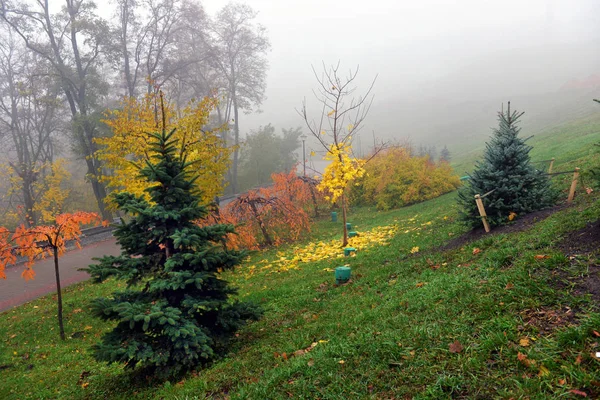 Autunno paesaggio nebbioso autunno parco vicolo con alberi nudi e dr — Foto Stock