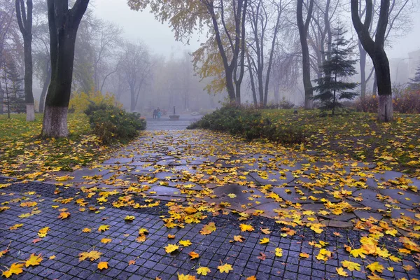 Jesienny krajobraz-mglisty Park jesienny aleja z gołymi drzewami i dr — Zdjęcie stockowe