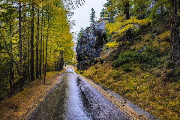 Majestátní Podzimní Alpská Scenérie Barevným Modřínovým Lesem Švýcarsko — Stock fotografie