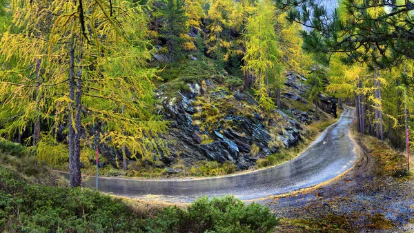 Majestätische Herbstliche Alpenkulisse Mit Farbenfrohen Lärchenwäldern Schweiz — Stockfoto
