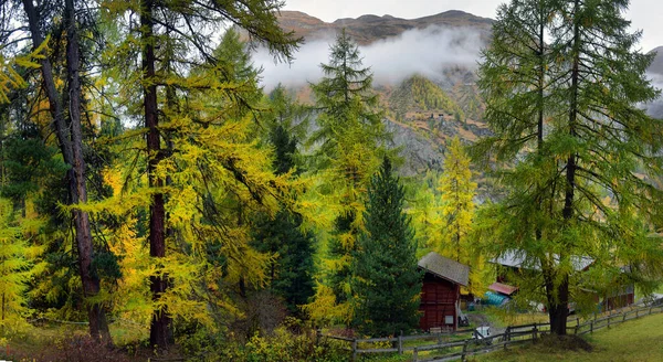 Maestoso Paesaggio Alpino Autunnale Con Foresta Larici Colorati Svizzera — Foto Stock