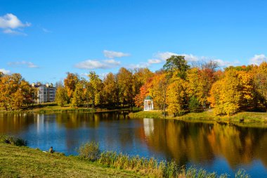 Önünde mavi gökyüzüne karşı bir gölet olan sonbahar manzarası