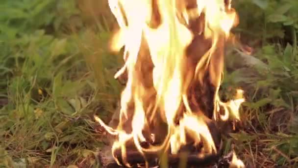 Vieux cuir noir haute punk femmes bottes brûlent avec le feu debout sur l'herbe dans le parc. concept vieilles chaussures inconfortables — Video