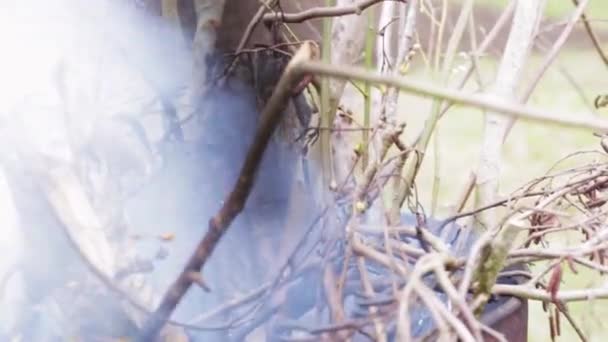 Yanan Kuru Dalları Yaz Günü Yaprakları Ile Metal Bir Varil — Stok video