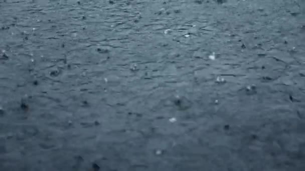 Las Gotas Lluvia Caen Sobre Superficie Del Agua Del Estanque — Vídeo de stock