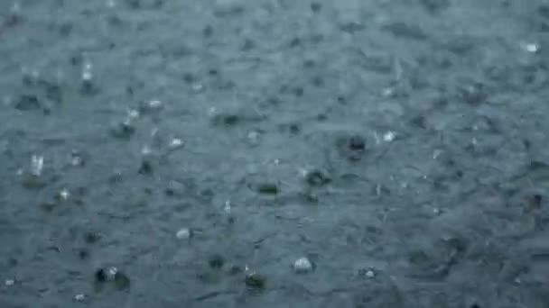 Krople Deszczu Opadają Powierzchnię Wody Stawu Jeziora Lub Rzeki Tworząc — Wideo stockowe