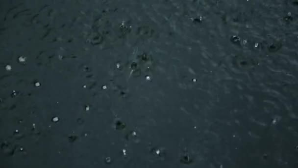 Esőcseppek Esik Víz Felszínén Vagy Folyó Alkotó Egységes Hátteret Rossz — Stock videók