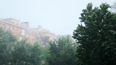 şehirdeki ağaçlar evlerin arka planına karşı güçlü fırtına ve yağmur dan sallanan vardır. doğal afetler, iklim değişikliği