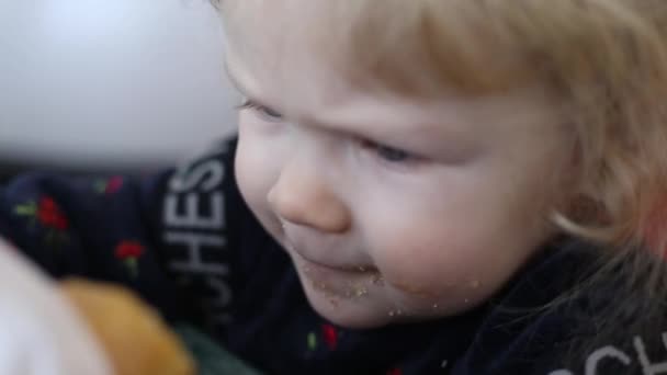 Маленька кучерява дівчинка в кафе їсть пончик крупним планом — стокове відео
