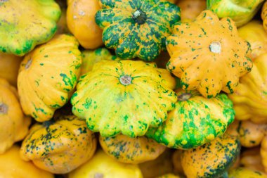 Dükkan tezgahında squashes renkli sarı ve yeşil çeşitleri kapatın.