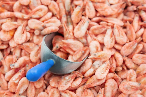 Pink fresh frozen shrimps with ice and filling scoop in a supermarket or fish shop. Uncooked seafood close up background. Fresh frozen prawns, delicacies, sea food concept,