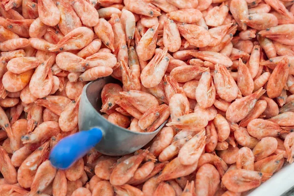 Pink fresh frozen shrimps with ice and filling scoop in a supermarket or fish shop. Uncooked seafood close up background. Fresh frozen prawns, delicacies, sea food concept,