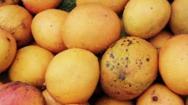 Su damlaları ile birçok organik sulu sarı mango satırlar içinde tezgah ın üzerinde yalan.