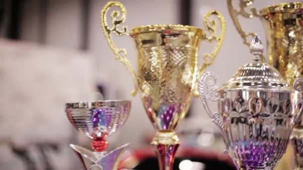 Autóversenyzés Győztes Arany Csészék Állni Autótetőn — Stock videók