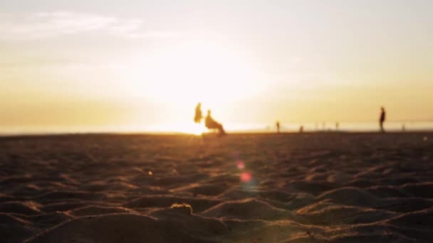 Många olika människor i land under solnedgången. ung man med en hund, en rullstolsanvändare, en cyklist njuter av livet på havet på sommaren — Stockvideo