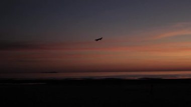 gün batımında tropikal plajda uçurtma. Çocuklar okyanus kıyısında oynuyor.