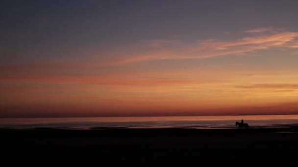 日落背景的海滩马. — 图库视频影像