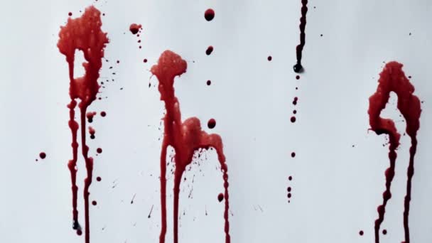 Limpeza respingo de sangue no fundo branco — Vídeo de Stock
