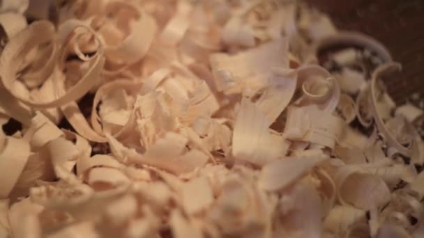 Wood shavings close-up on a wooden surface. — ストック動画