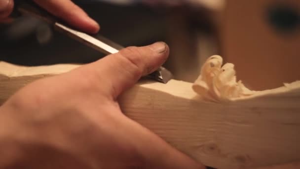 Workers hands of a male carpenter closeup cuts a tree — Stock Video