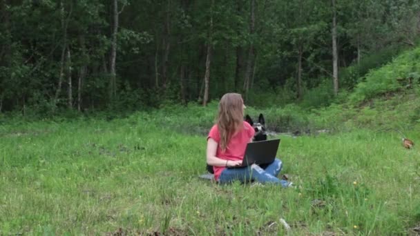Девушка сидит на улице в парке работает на ноутбуке, большой собаке скучно с ней — стоковое видео