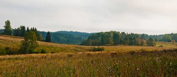 Skandinávská podzimní krajina — Stock fotografie