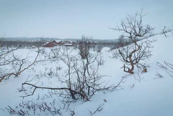 Aldeia da Lapônia no inverno — Fotografia de Stock