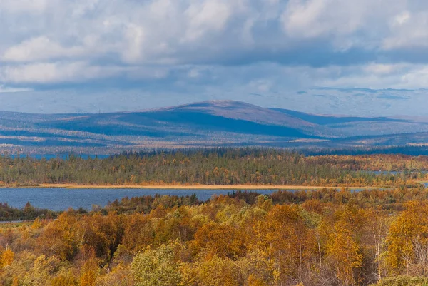 Природа російської півночі — стокове фото