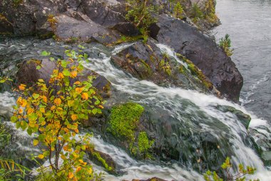 Kivach şelale Karelya, Rusya