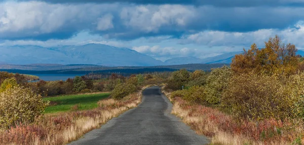 Strada nella tundra — Foto Stock