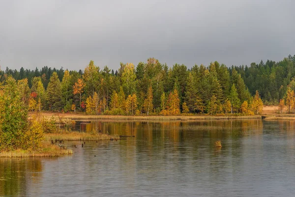 Beautiful autumn forest — Stock Photo, Image