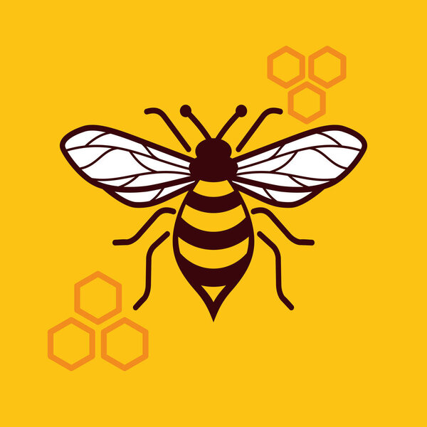 Honey bee vector image